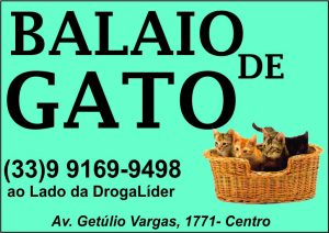 balaiodegato