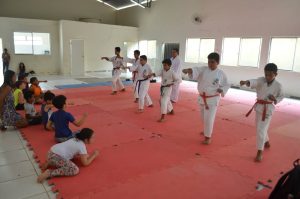 karate1