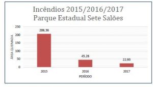 grafico