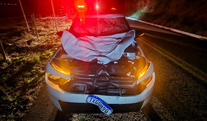 COLISÃO NA BR-259: AUTOMÓVEL DA PREFEITURA DE RESPLENDOR ATROPELA UM BOI