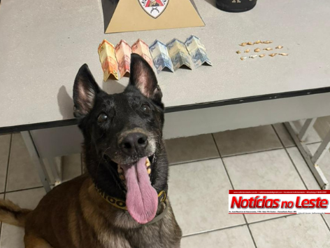 MENOR É APREENDIDO APÓS AÇÃO POLICIAL E DROGAS SÃO ENCONTRADAS EM CASA ABANDONADA.