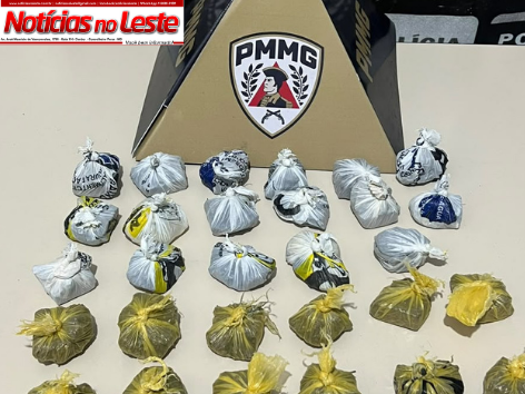 29 TABLETES DE MACONHA SÃO APREENDIDOS DURANTE AÇÃO POLICIAL.