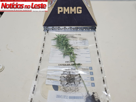 QUATRO OCORRÊNCIAS ENVOLVENDO MACONHA SÃO REGISTRADAS NO MESMO DIA. QUATRO OCORRÊNCIAS ENVOLVENDO MACONHA SÃO REGISTRADAS NO MESMO DIA.